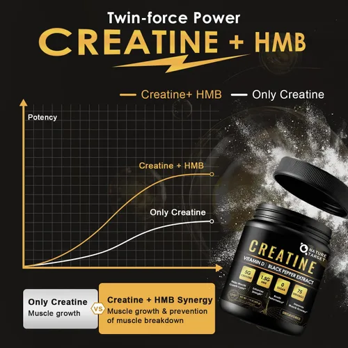 Miniatura 4 de Monohidrato de creatina micronizada para mujeres y hombres, polvo de creatina para hombres y mujeres para mejorar el rendimiento y la fuerza, apoyar
