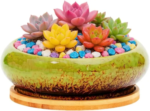Miniatura 65 de Bonita maceta circular de cerámica para decoración del hogar y jardín, suculentas, cactus, maceta no incluida (azul, 3.19 pulgadas)