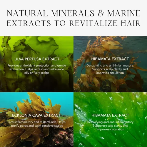 Miniatura 7 de Kiwabi Root Beauté - Tratamiento para el cuero cabelludo profundo – Gel de tratamiento de desintoxicación del cuero cabelludo con agua de océano