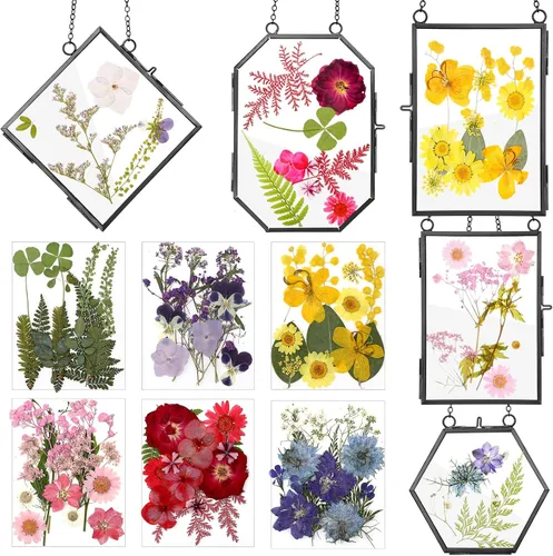 Bucherry Marco de vidrio para bricolaje, arte de flores prensadas, marco de fotos colgante de latón con cadena y 6 estilos de flores prensadas,