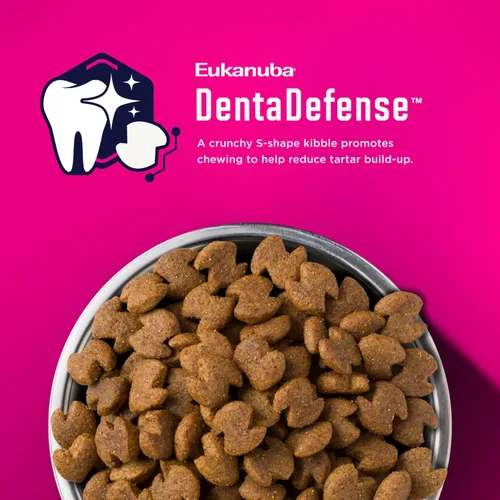 Miniatura 3 de Eukanuba Adult, alimento seco para perro adulto