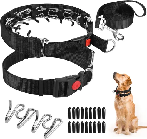 Miniatura 16 de Collar de entrenamiento de puntas con puntas cómodas y hebilla de cierre rápido – Collar de pellizco para perro con cubierta de nailon