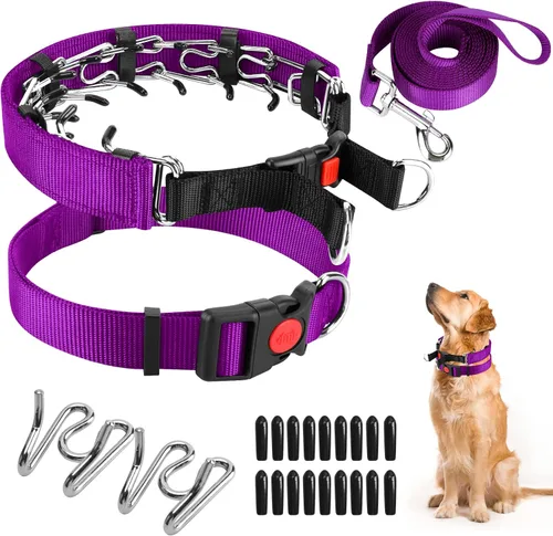 Miniatura 24 de Collar de entrenamiento de puntas con puntas cómodas y hebilla de cierre rápido – Collar de pellizco para perro con cubierta de nailon