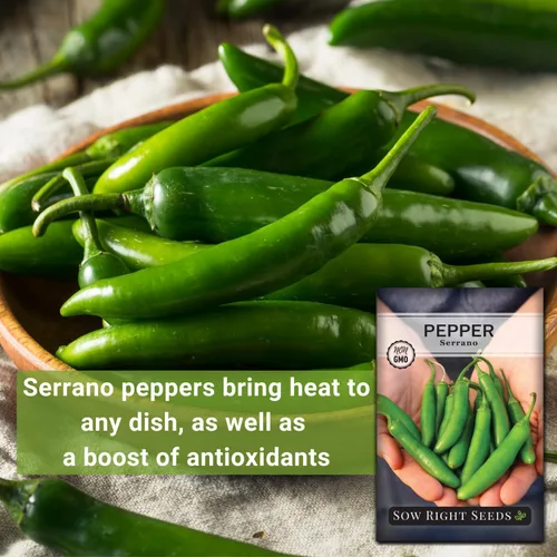 Miniatura 3 de Sow Right Seeds - Semilla de pimiento picante serrano para plantar - Instrucciones de paquete de reliquia sin OMG para plantar un huerto en el hogar
