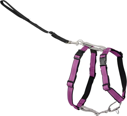 Miniatura 12 de PetSafe Arnés 3 en 1 – Cómodo arnés de pecho para perro fácil de caminar con accesorio de correa frontal para reducir tirones, asfixia y arcadas