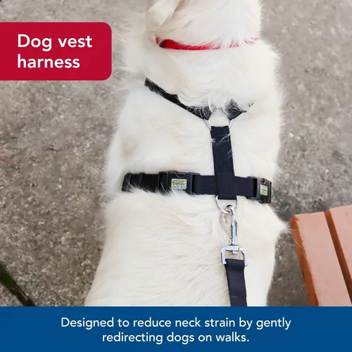 Miniatura 6 de Coastal Pet Walk Right - Arnés acolchado para perro con conexión frontal y sin tirones, ajustable y cómodo, ajuste para razas pequeñas y grandes