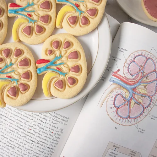 Miniatura 4 de Cortador interno de galletas de riñón, 1 pieza - Bakerlogy