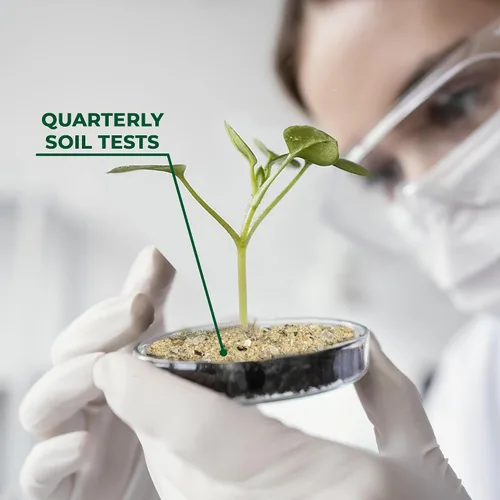 Miniatura 3 de BuildASoil Fertilizante para huerto de vegetales y alimentos orgánicos para plantas Fertilizante orgánico hecho a mano con 15 ingredientes