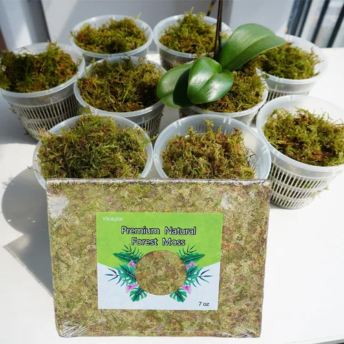 Miniatura 2 de Musgo de orquídea natural de 7 onzas para plantas en maceta, bonito suelo para macetas sin suelo para plántulas y cortes, buena idea para terrario