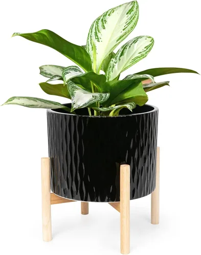LaDoVita Maceta de cerámica con soporte, maceta de 10 pulgadas con estante de madera, macetas redondas modernas para interiores con soporte para