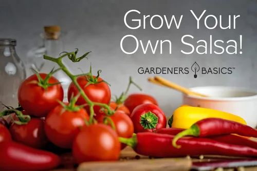 Miniatura 4 de Gardeners Basics, Heirloom - Paquetes de semillas de cultivo de salsa caliente, 8 variedades de habanero, jalapeño, pimientos serranos, romana