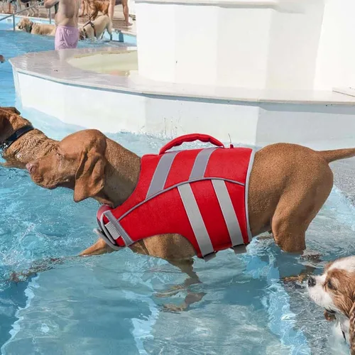 Miniatura 6 de Kuoser Chaleco salvavidas para perros con rayas reflectantes, chaleco salvavidas ajustable para mascotas con alta flotación, traje de baño