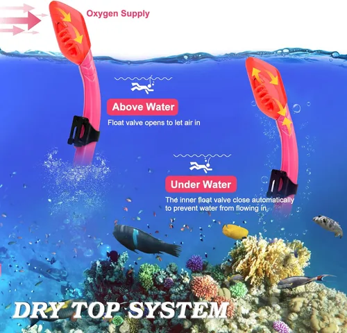 Miniatura 5 de 2 Sets Snorkeling Gear for Kids, Kids Snorkel Set for Ages 6-14, Dry Top Snorkel Mask Set for Youth Boys Girls Junior, Tempered Glass Diving