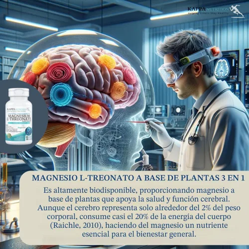 Miniatura 5 de Kappa Nutrition potenciado por Magbrain™ Magnesio L-treonato de origen vegetal, 420 mg de magnesio elemental (3 cápsulas) de 2,253 mg, 120 cápsulas