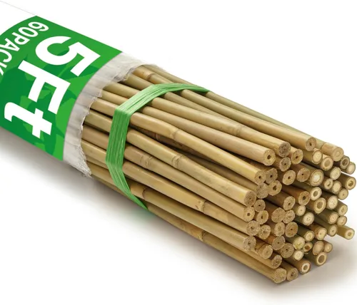 Miniatura 8 de 60 estacas de bambú para plantas de 3 pies, estacas de bambú para plantas de jardín para soporte de plantas, plantas trepadoras, tomates, girasoles