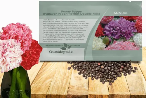 Outsidepride Semillas de amapola de doble mezcla de peonía para plantar, 10,000 piezas anuales, tolerantes a la sequía y fáciles de cultivar