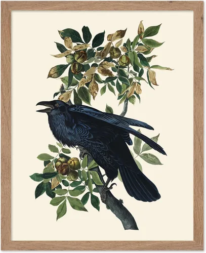 Miniatura 51 de Poster Master Vintage James Audubon Póster - Impresión Retro de Cuervo - Arte de Aves de América - Arte de Aves - Regalo para Hombres, Mujeres