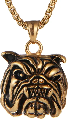 AsAlways Colgante para mascotas de expresión feroz regalo chapado en oro collar de cabeza de bulldog de acero inoxidable 22+2 pulgadas cadena,