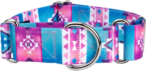 Country Brook Petz - Collar Martingale para perro HossFit Jr ancho - Colección Country y Western con diseños rústicos (Albuquerque, mediano)