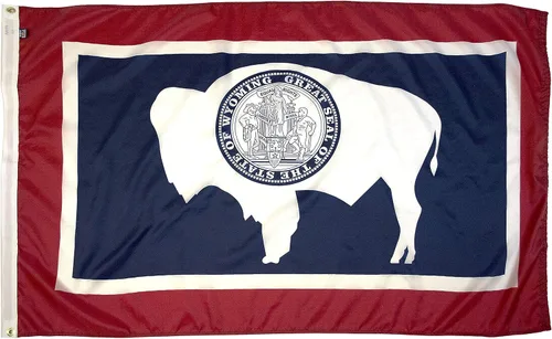 Miniatura 9 de FlagSource Bandera del estado de nailon de Iowa, fabricada en los Estados Unidos, 4 x 6 pies Iowa 4x6