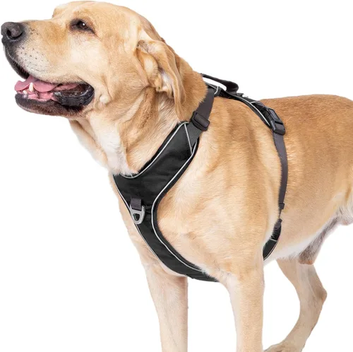 Miniatura 9 de Arnés para perro sin tirones con 2 clips para correa, chaleco reflectante, ajustable y acolchado, clips delanteros y traseros fáciles de caminar