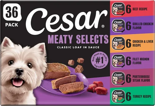 Miniatura 10 de CESAR - Comida húmeda y clásica para perros en un paquete variado de trocitos en salsa de receta de carne de res, filete miñón, pollo a la parrilla