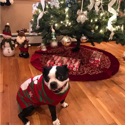 Miniatura 4 de NACOCO Dog Snow Sweater - Snowman Holiday Xmas Christmas Pet Clothes for Small Dog and Cat (Snowman, S)