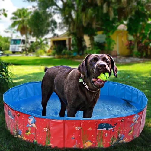 Miniatura 7 de Yescom Piscina plegable para perros, piscina dura para niños, bañera de refrigeración para mascotas, patio trasero, salpicaduras al aire libre, 63
