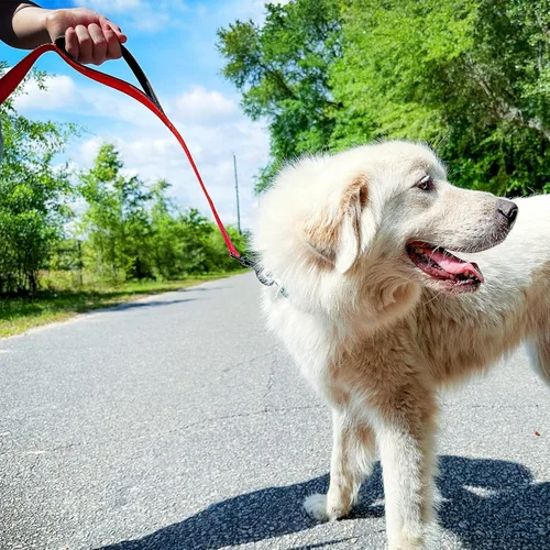Miniatura 4 de Joytale - Correa resistente para perros grandes que tiran, doble asa para control de tráfico, correas reflectantes de doble cara para perros grandes