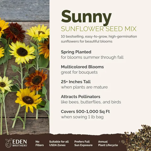 Eden Brothers Sunny Flower - Semillas mixtas para plantar, 1 libra, más de 480,000 semillas con ojo de buey, Maximilian, girasol enano | Atrae
