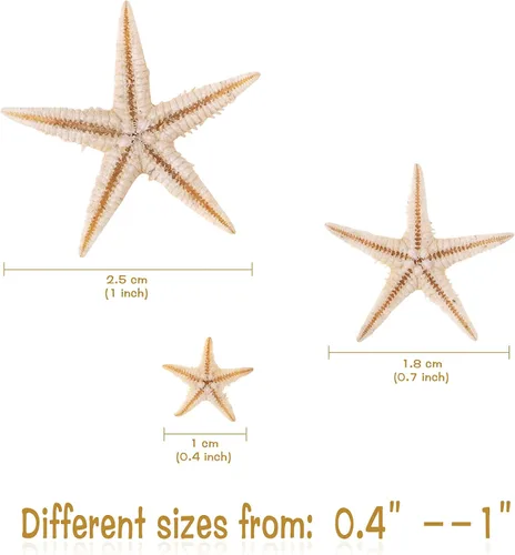 Miniatura 2 de 100 piezas pequeñas estrella de mar estrella de mar conchas de mar playa para manualidades 0.4"-1