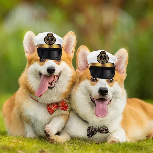 Miniatura 4 de Gorro ajustable de poliéster para perros pequeños y gatos, accesorio para fotos