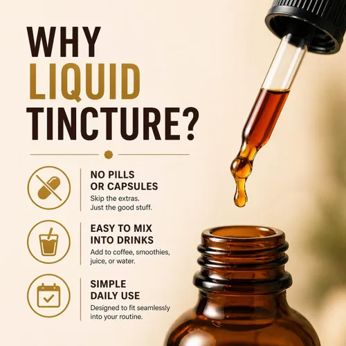 Miniatura 5 de Momentum Cordyceps & Lion's Mane - Gotas de tintura de hongos - Extracto líquido Energy & Focus - Ingredientes orgánicos - 2 onzas