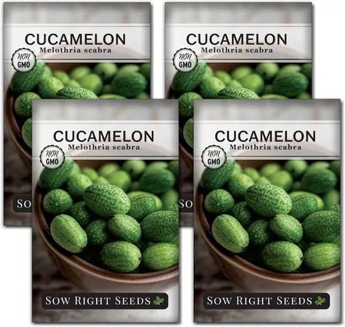 Miniatura 9 de Sow Right Seeds - Semillas de Cucamelon para plantar - Paquete de reliquia sin OMG con instrucciones para plantar un jardín de verduras casero al