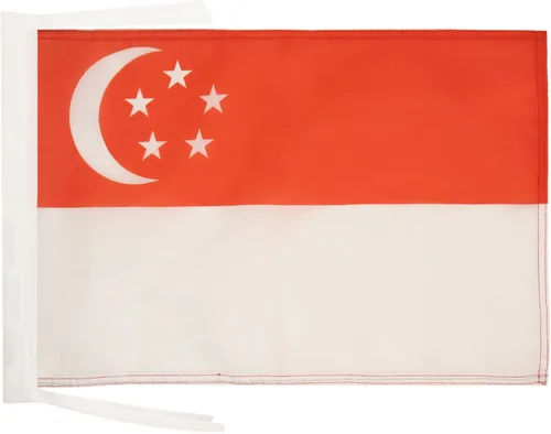 Miniatura 885 de Bandera de México AZ FLAG, 45.7 x 30.5 cm, con cordones - Pequeñas banderas mexicanas de 30 x 45 cm - Bandera de 45.7 x 30.5 cm