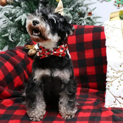 Miniatura 5 de Collar de Navidad para perro con pajarita, collar de Navidad para cachorros, hembras, machos, perros o gatos, collares con lazo con hebilla de metal