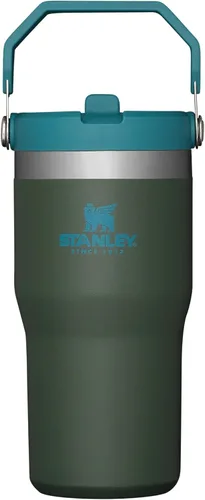 Miniatura 99 de Stanley IceFlow - Vaso con pajilla abatible con asa, de 20 onzas, tapa giratoria y popote abatible, botella de agua resistente a fugas, acero
