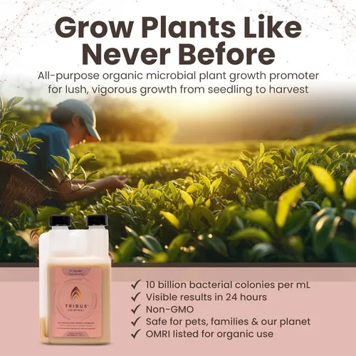 Miniatura 8 de Tribus - Inoculante microbiano orgánico Potenciador de raíces para plantas, aumenta el rendimiento de las plantas, el crecimiento de raíces