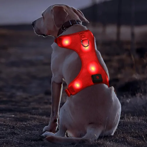 Miniatura 2 de Domi - Arnés de perro con luz, recargable por USB, chaleco reflectante para perro, sin tirar, con un cómodo cha acolchado para perros pequeños