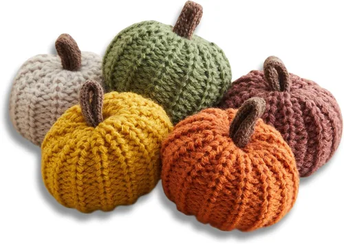 Your Heart's Content Juego de 5 mini calabazas de punto, regalo pensativo, favorito de otoño, rellenos de cuencos de otoño, decoración de bandeja