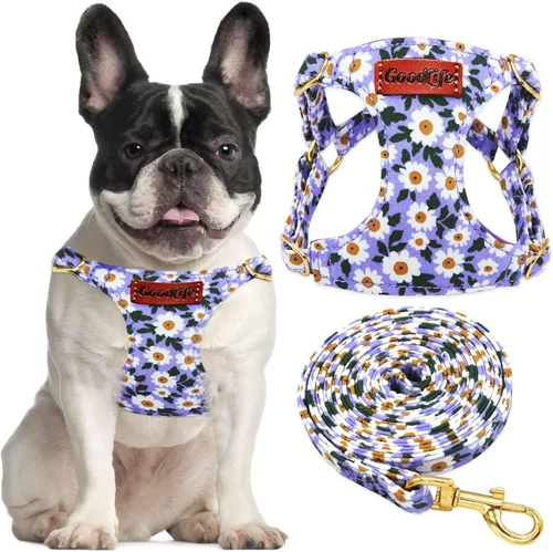 Miniatura 12 de OaaXbbECco Arnés suave y ajustable para cachorro, arnés suave y ajustable para perro y correa para perro, sin estrangulamiento, a prueba de escape
