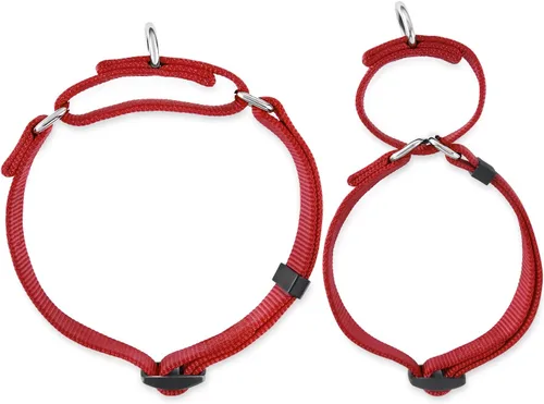 Miniatura 5 de Collar Hyhug Pets de nailon resistente, cómodo y seguro, para entrenamiento profesional, martingala, uso diario, para caminar, antiescape, para Rojo