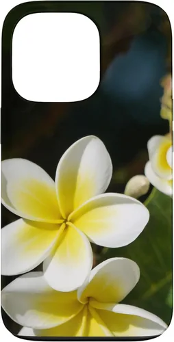 Miniatura 10 de iPhone 12/12 Pro Plumeria Flower - Carcasa amarilla