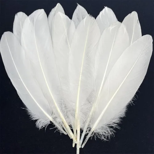 Miniatura 14 de 100 plumas de ganso marrón de 6 a 8 pulgadas para decoración de otoño, manualidades, ropa de cosplay, sombreros, accesorios, atrapasueños, Café