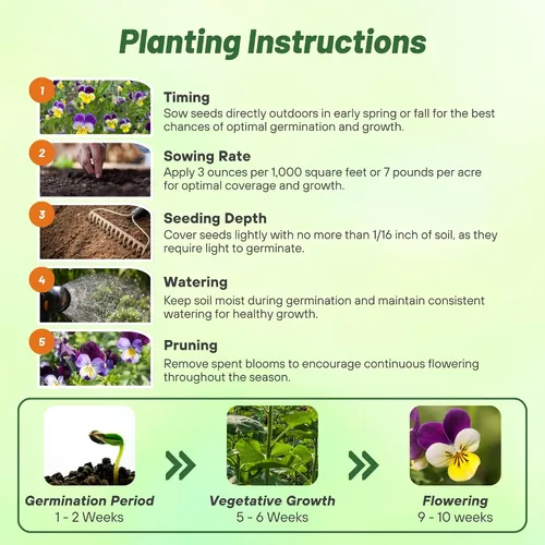 Miniatura 4 de Outsidepride Johnny Jump Up Viola semillas de flores silvestres - 1/8 lb Semillas fáciles de cultivar, perennes compactas y resistentes para plantar