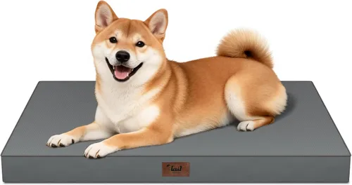 Miniatura 35 de Cama ortopédica de felpa para perros y cachorros medianos, camas impermeables para perros de 30 x 20 pulgadas con funda extraíble lavable, tapete