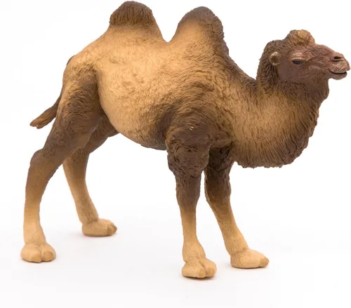 Miniatura 6 de Papo - Figura realista de camello bactriano para niños - A partir de 3 años - Colección Wild Life - Animales exóticos educativos - Juguete de idea