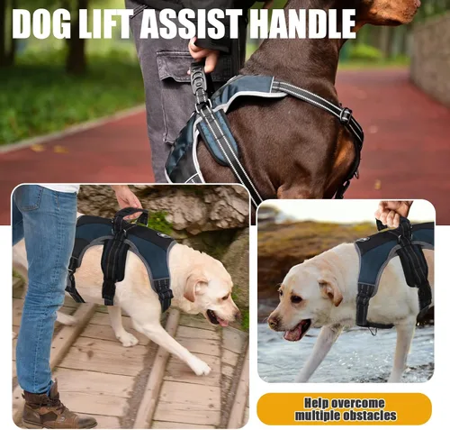 Miniatura 3 de Mihachi Arnés para perros pequeños, chaleco de servicio sin tirones a prueba de escapes, con tiras reflectantes y asa de control, ajustable