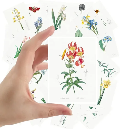 Redoute - Calcomanías grandes, 24 piezas (2.5 x 3.5 pulgadas cada una) Iris Lillies Vintage Botannical Books Ilustraciones por Redoute Postales