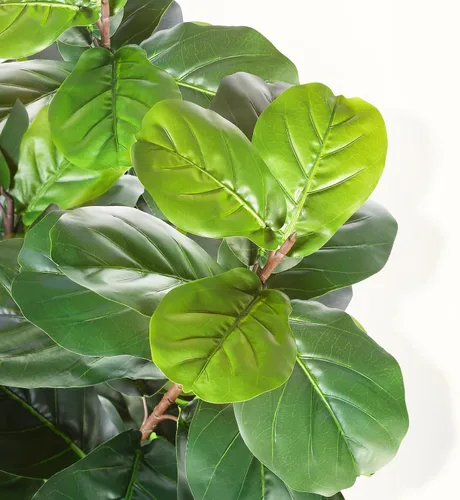 Miniatura 3 de LYERSE Árbol de higuera artificial de hoja de violín, planta de ficus lyrata falsa de 5 pies con 78 hojas de violín decorativas en maceta